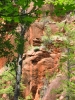 PICTURES/Sedona  West Fork Trail/t_Red Rock Along Creek1.JPG